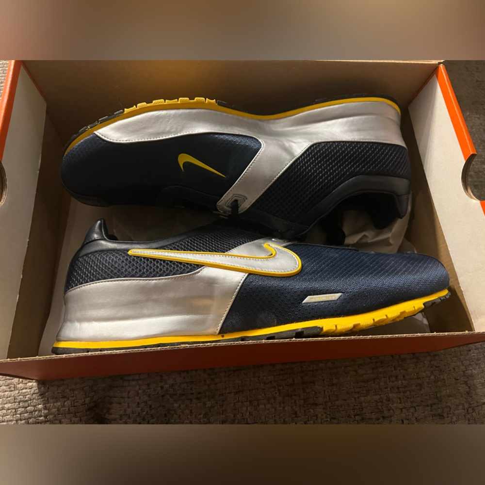 Nike Zoom Running Shoe